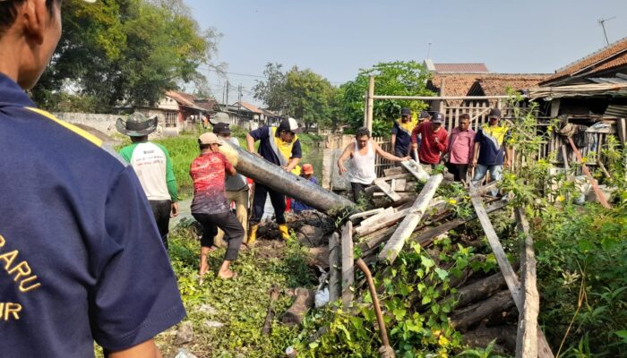 Antisipasi Banjir Pemdes Tanjungbaru dan Warga Gelar Kerja Bakti. Kompak Bersihkan Saluran Irigasi.