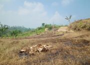 FMB Desak Pemerintah dan APH Turun Ke Lapangan Tuntaskan Persoalan Lahan PT BJA