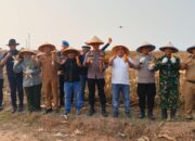 Dukung Program Ketahanan Pangan Nasional, Polres Metro Bekasi Panen Raya Jagung Kedua di Deltamas Cikarang Pusat
