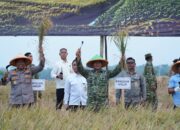 Panen Raya TNI di Sumedang Perkuat Sinergi Wujudkan Ketahanan Pangan Nasional