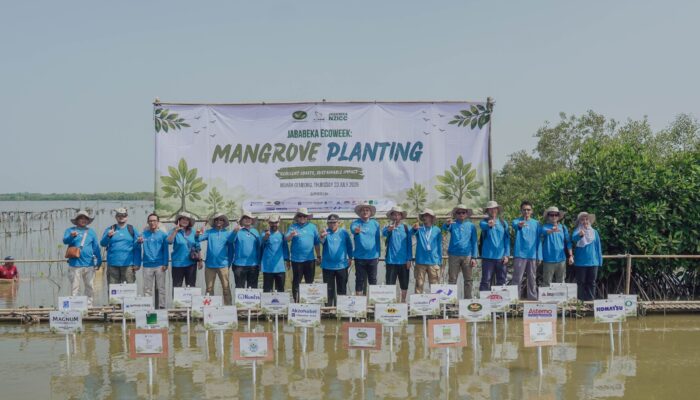 Tembus 100.000 Pohon! Jababeka dan 27 Tenant Tanam 35.000 Mangrove di Muara Gembong
