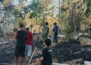 SIAGA! 1,5 Hektare Perkebunan di Padaherang Pangandaran Ludes Terbakar, Nyaris Merembet ke Permukiman Warga