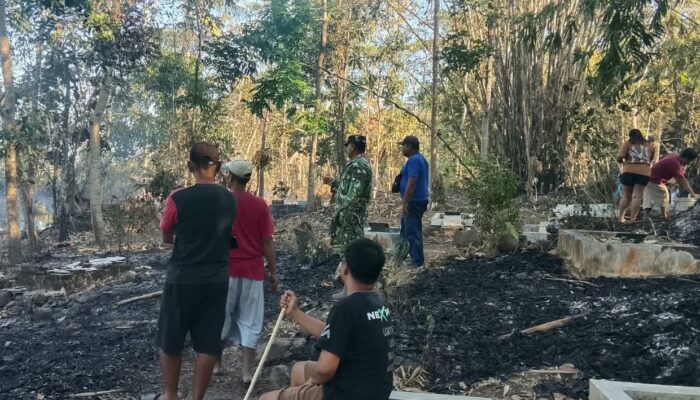 SIAGA! 1,5 Hektare Perkebunan di Padaherang Pangandaran Ludes Terbakar, Nyaris Merembet ke Permukiman Warga