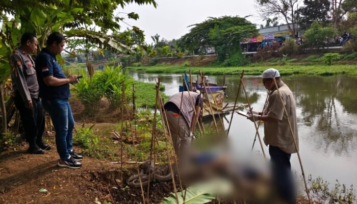 Identitas Terungkap! Mayat Laki-laki di Kali Irigasi Kampung Selang Cipayung Bernama Rojak Asal Karawang, Kapolsek Perida Pimpin Olah TKP