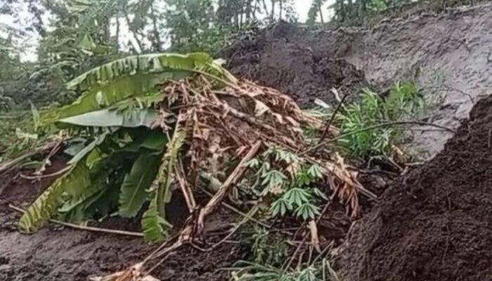 BREAKING! Longsor Terjang Padalarang KBB, 2 Rumah di Campakamekar Tertimbun – 522 Rumah Rusak Diterjang Angin Puting Beliung